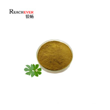 Factory Supply Chinese Goldthread Extract 98% Natural Berberine HCl Coptis Root Extract Price in Bulk